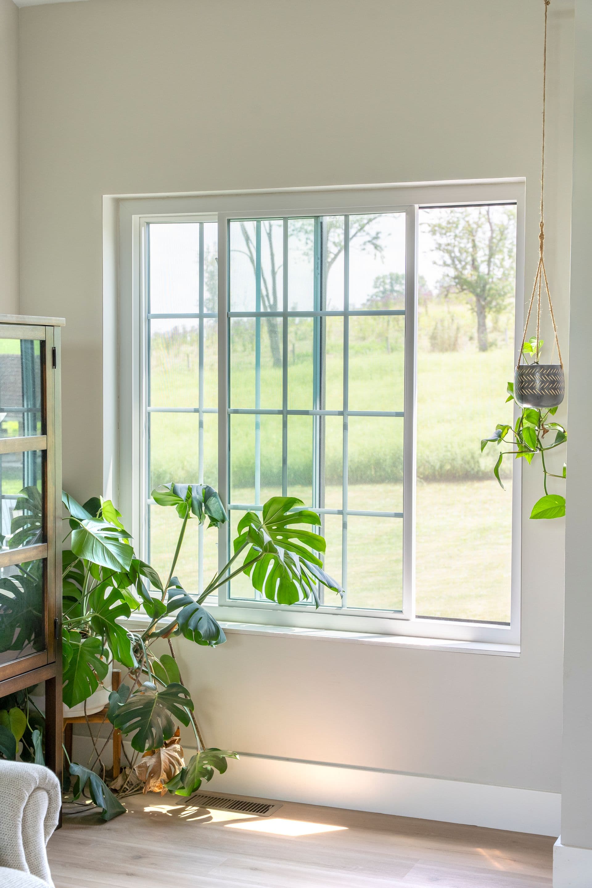 A bright window with lush green plants inside a minimalist room overlooking a grassy field.