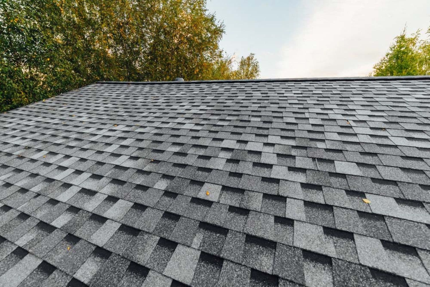 A close-up view of a gray asphalt shingle roof with trees and sky in the background.